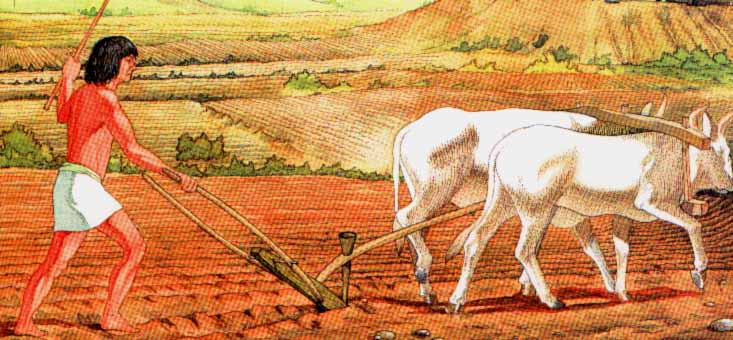 Il prodotto più forte per una potenzialità