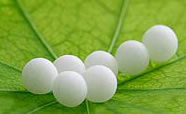 globul2