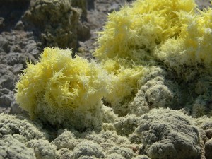 sulphur