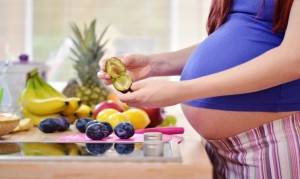 gravid