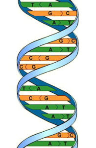 dna