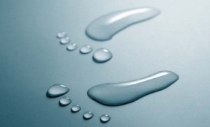 memoria acqua