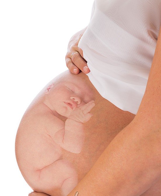 Unborn baby in pregnant belly