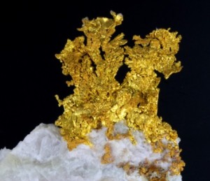 Aurum